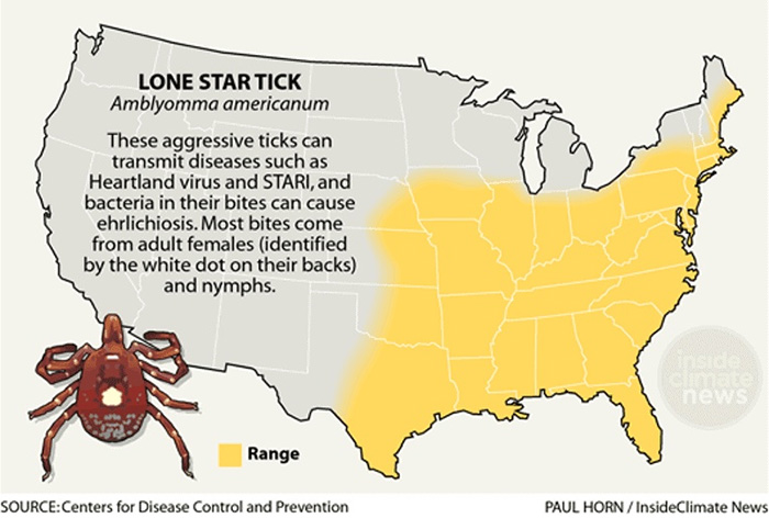 Current tick trends in the United States
