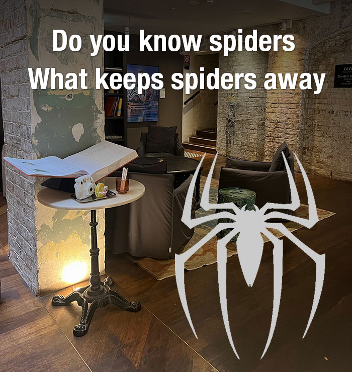 Do you know spiders | What keeps spiders away