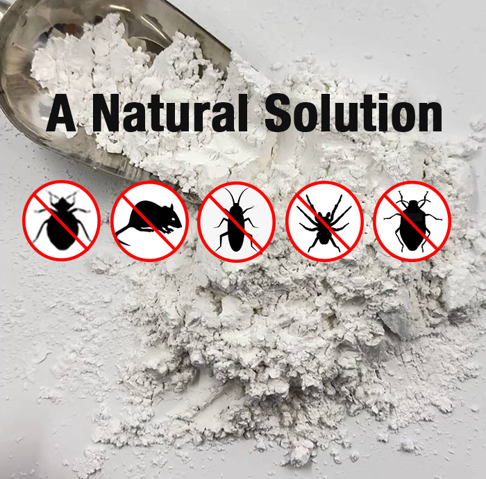 Diatomaceous Earth for Pest Control: A Natural, Non-Toxic Solution