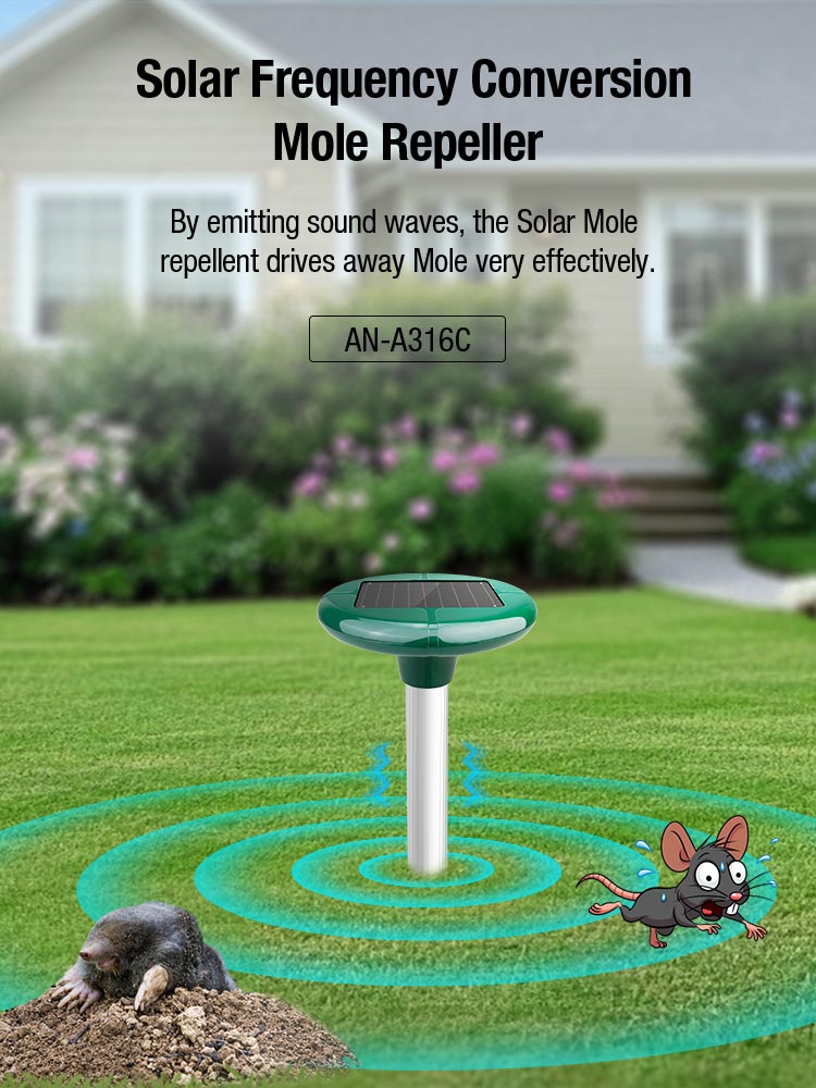 Solar Mole repellent drives away Mole very effectively