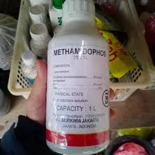 Methamidophos rodent control DIY