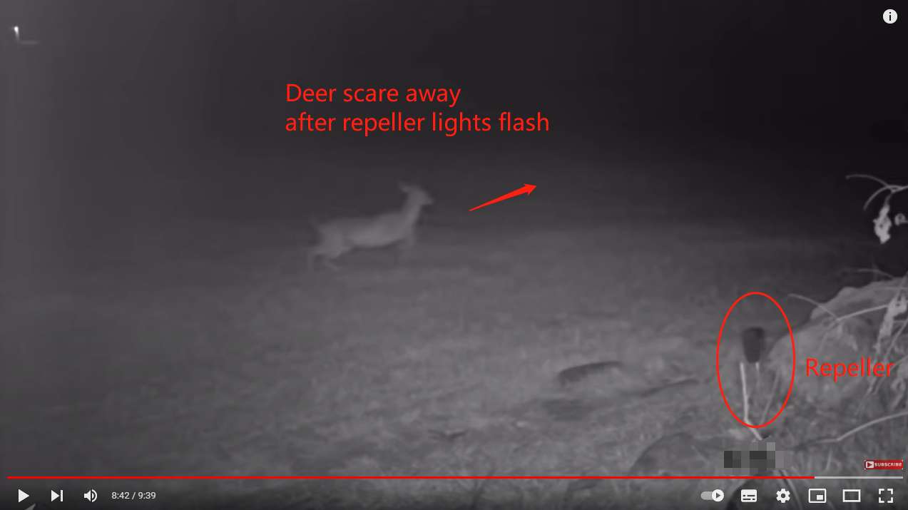 deer repeller video
