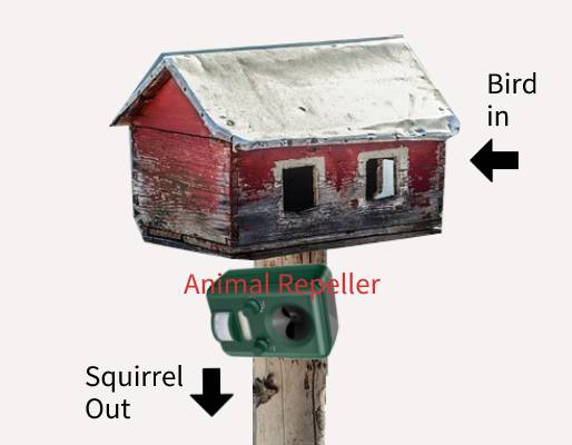 feeder squirrels repeller