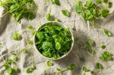 watercress