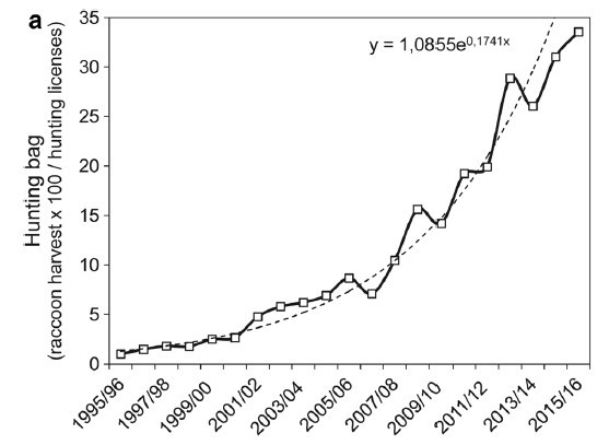 Raccoon population trend