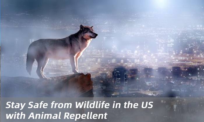Stay Safe from Wildlife in the US with Animal Repellent