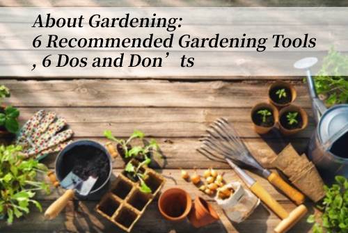 aosion about gardening blog